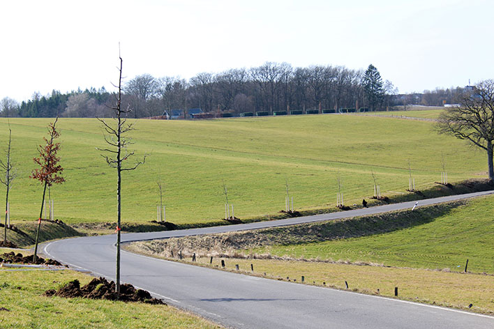 36 Bume beleben nun das Landschaftsbild zwischen Hillerscheid und Jennecken. Foto: Stadt Wiehl