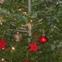 CVJM Oberwiehl verlegt Weihnachtsbaumsammelaktion
