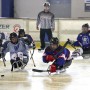 Sledge-Eishockey: Wiehl Penguins unterlagen den Ice-Lions-Langenhagen