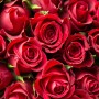 Faire Rosen für Frauen